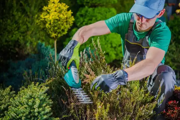 landscaping services Centereach